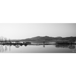 dailyPhoto39